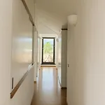 Ferienhaus Welcome Riviera - Attico San Faustino 165 Mq Piu 110 Mq Di Terrazza- In 700 ,vista Mare Strepitosa-100 M Dalla Spiaggia-parking Esclusivo Rapallo